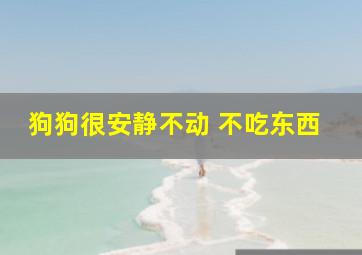 狗狗很安静不动 不吃东西